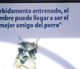 Pet House Animal Care photo