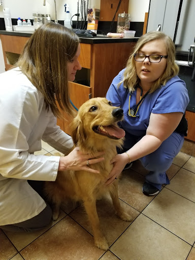 Pet Supply Store «PetSmart», reviews and photos, 2389 Taylor Park Dr, Reynoldsburg, OH 43068, USA