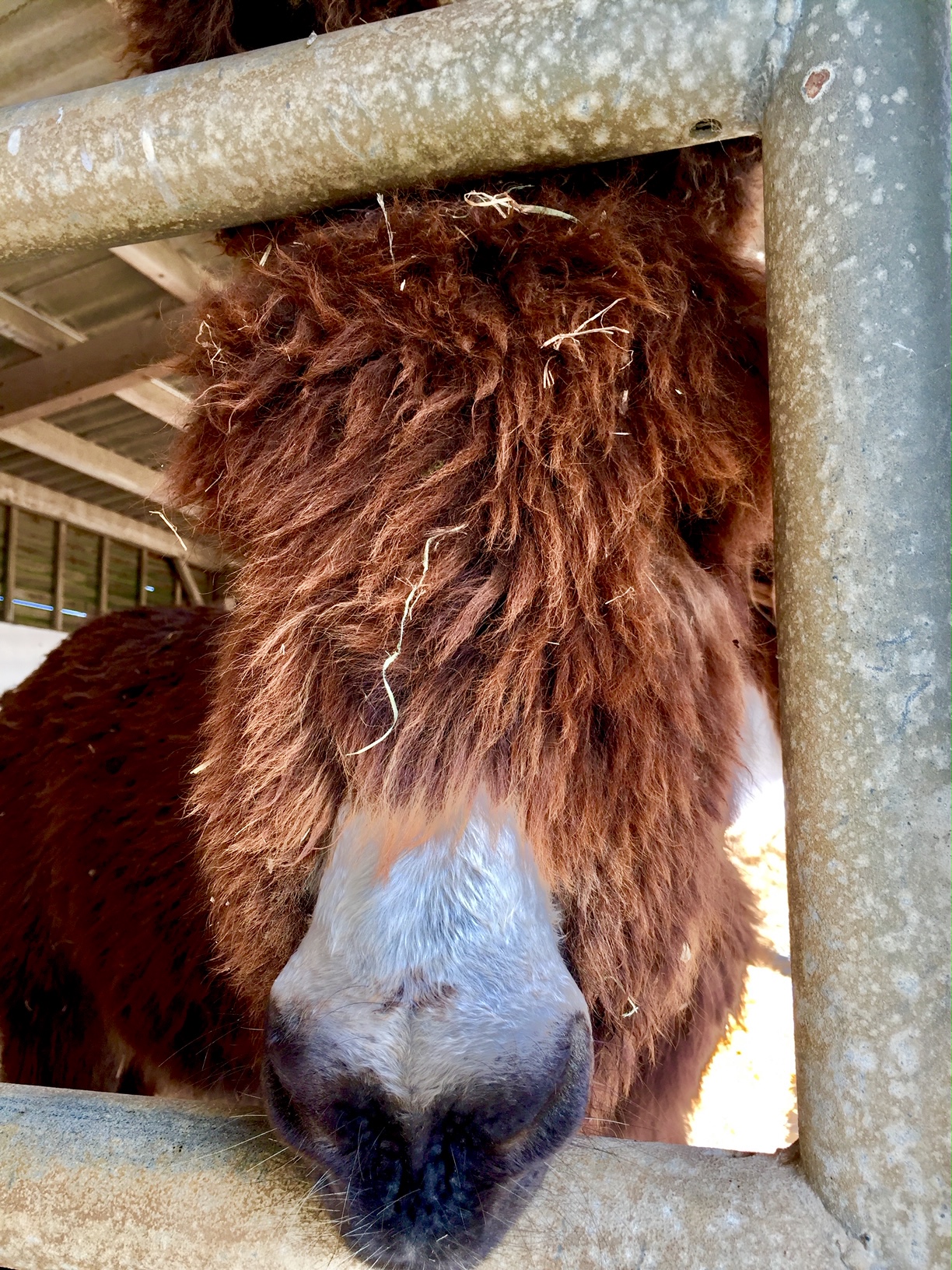 Photo n° 10 de l'avis de Paul.� fait le 18/05/2020 à 06:59