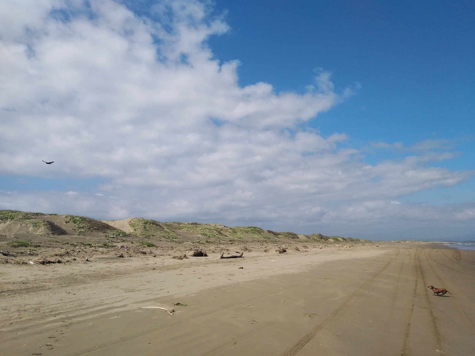 Fotografie cu Playa las dunas cu o suprafață de nisip strălucitor