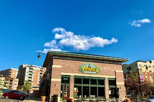 Potbelly image