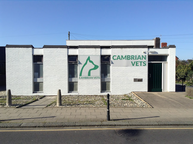 Reviews of Cambrian Vets in Aberystwyth - Veterinarian