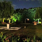 Photo n°3 de l'avis de Patrizia.s fait le 09/06/2020 à 09:15 sur le  Osteria Veneta da Piero à Mirano