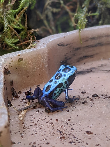 Pet Supply Store «Petco Animal Supplies», reviews and photos, 1419 Towne Square Blvd NW, Roanoke, VA 24019, USA