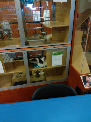 Pet Supply Store «PetSmart», reviews and photos, 3260 Stockton Hill Rd, Kingman, AZ 86409, USA