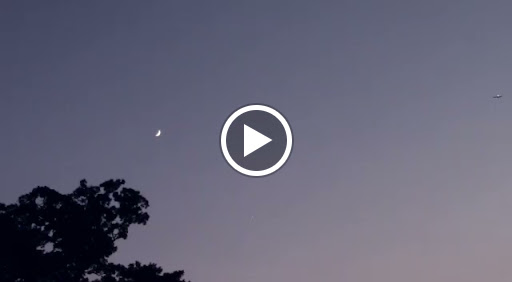 Amusement Center «Alley Cats», reviews and photos, 2008 W Pleasant Ridge Rd, Arlington, TX 76015, USA