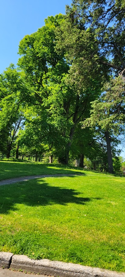 Wilson Park (Public Park)