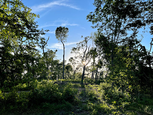 Museum «Brucemore», reviews and photos, 2160 Linden Dr SE, Cedar Rapids, IA 52403, USA