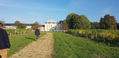 Château de l'Aulée à Azay-le-Rideau