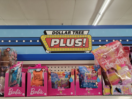 Dollar Store «Dollar Tree», reviews and photos, 521 87th Ln NE, Blaine, MN 55434, USA