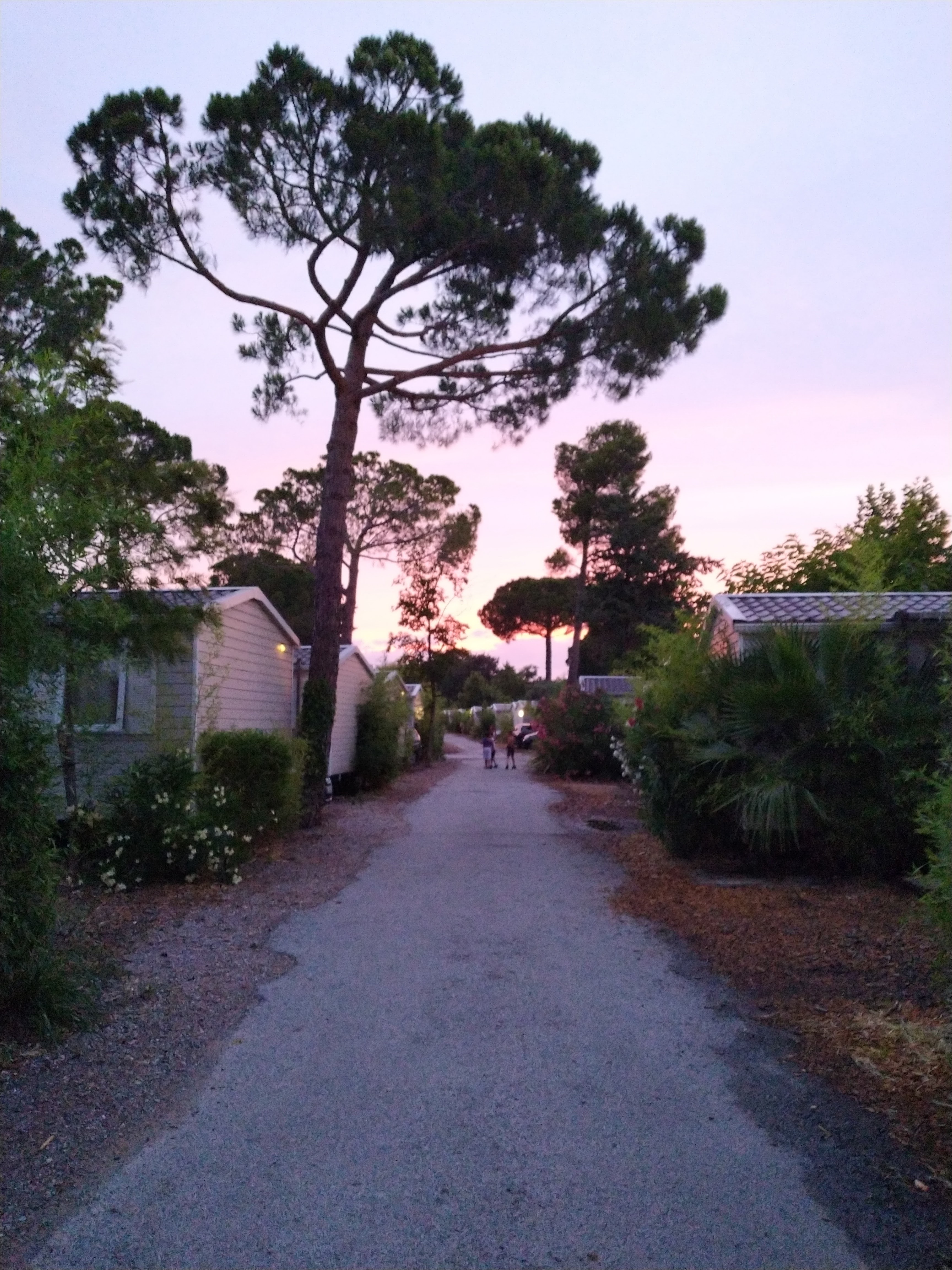 Photo n° 2 de l'avis de thomas. fait le 10/07/2022 à 19:26