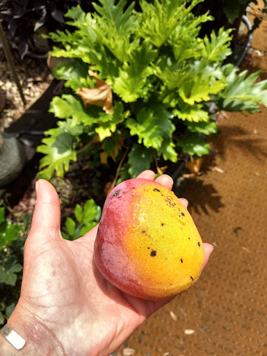 Thrift Store «OddBalls Nifty Thrift», reviews and photos, 530 NE 13th St, Fort Lauderdale, FL 33304, USA