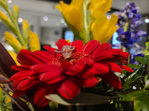 Jewelry Store «Helzberg Diamonds», reviews and photos, 6018 S Westnedge Ave, Portage, MI 49002, USA