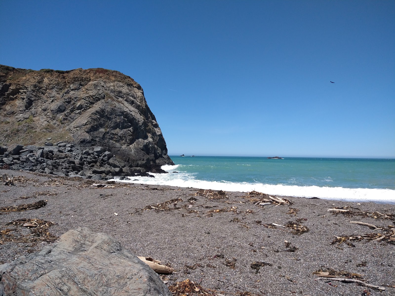 Goat Rock Beach的照片 位于自然区域