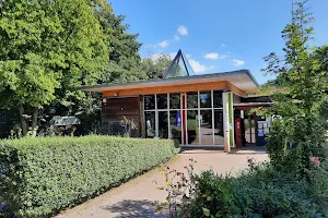 Umweltzentrum Fulda für Nachhaltigkeit, Gartenkultur und Tierpädagogik e.V. image