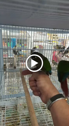 Pet Supply Store «Neighborhood Pet Shop», reviews and photos, 574 Hialeah Dr, Hialeah, FL 33010, USA