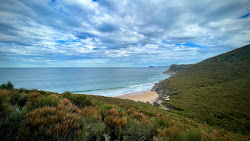 Little Tallow Beach'in fotoğrafı çok temiz temizlik seviyesi ile