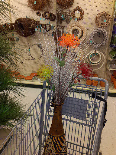 Craft Store «Hobby Lobby», reviews and photos, 1317 Bridford Pkwy, Greensboro, NC 27407, USA