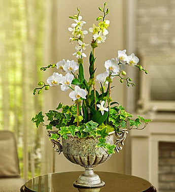 Florist «Fancy Flowers», reviews and photos, 3770 Richmond Ave, Houston, TX 77046, USA