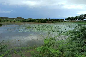 Shivparas Lake image