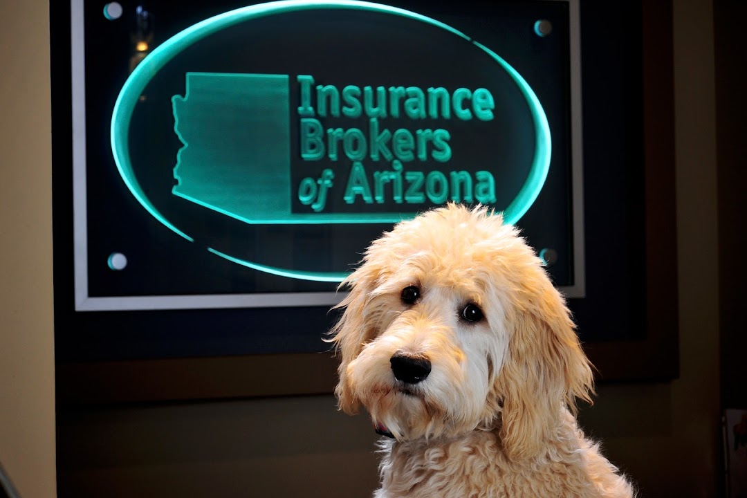 Insurance Brokers Of Arizona