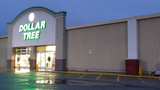 Dollar Store «Dollar Tree», reviews and photos, 1145 N Belsay Rd Ste B, Burton, MI 48509, USA