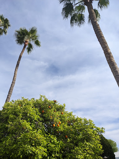 Park «Daley Park», reviews and photos, 1625 S College Ave, Tempe, AZ 85281, USA