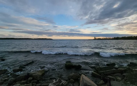 Cherry Beach Off Leash Dog Park image