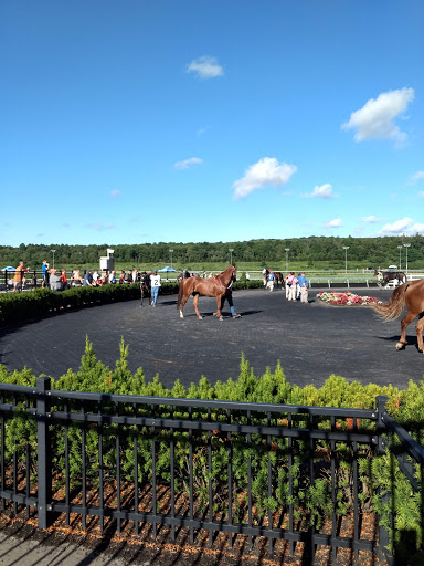 Casino «Presque Isle Downs & Casino», reviews and photos, 8199 Perry Hwy, Erie, PA 16509, USA