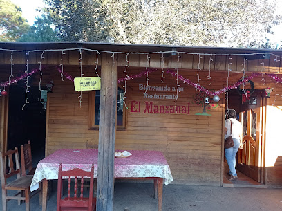 El Manzanal - México 175, 70861 Puerto Angel, Oax., Mexico