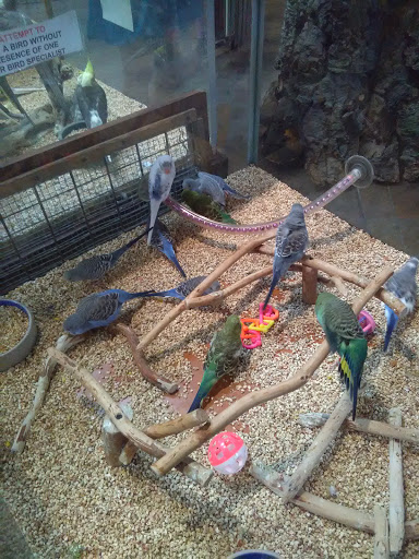 Pet Store «Pet Kingdom», reviews and photos, 4650 S Cleveland Ave, Fort Myers, FL 33907, USA