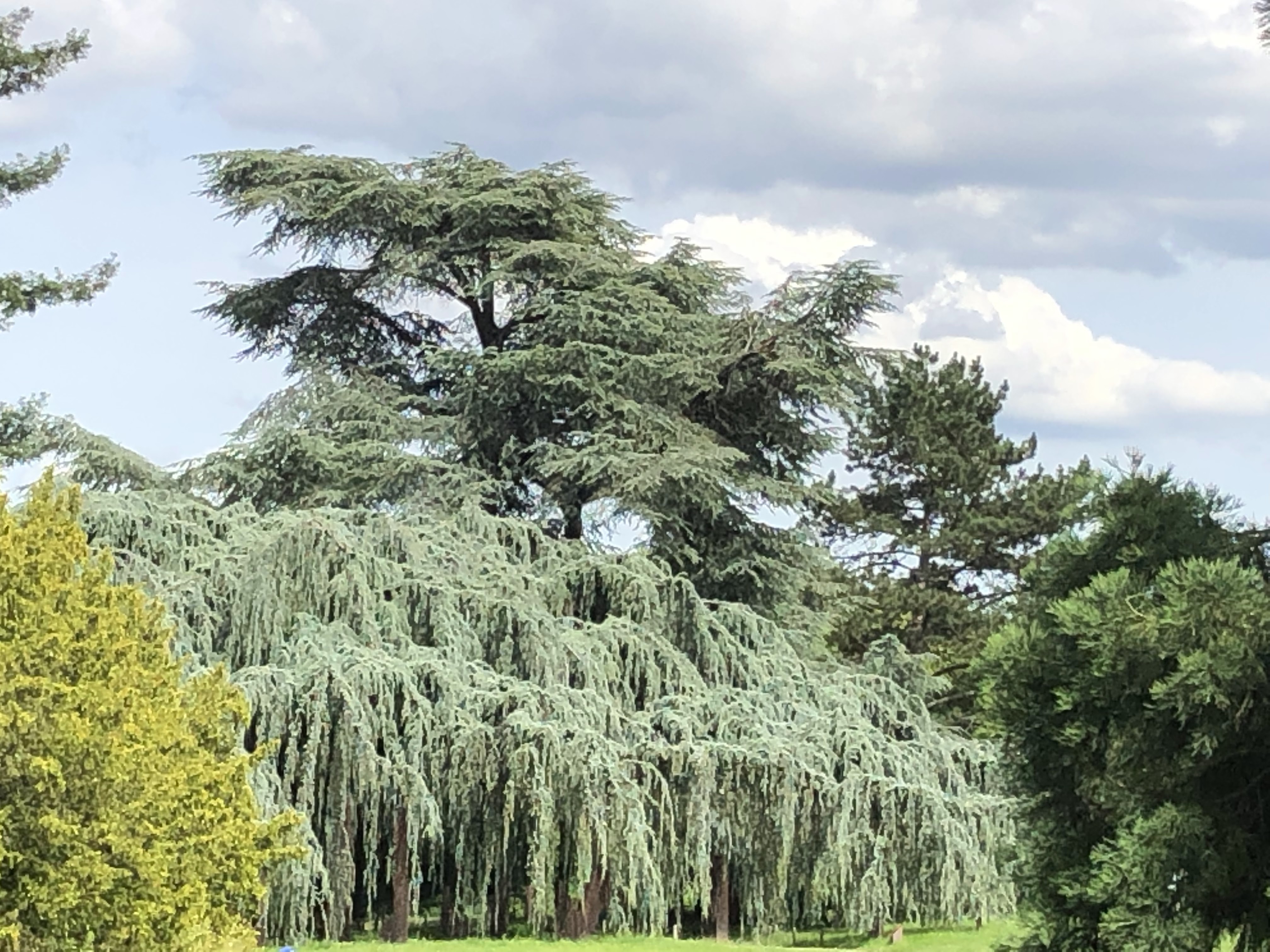 Photo n° 10 de l'avis de Denis.u fait le 18/06/2019 à 20:16