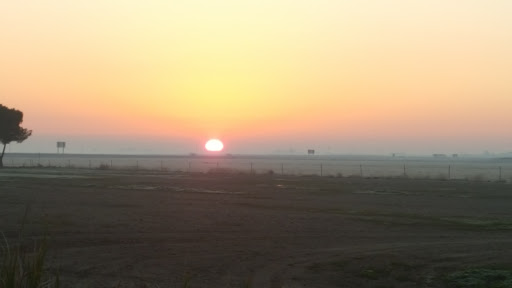 Coffee Shop «Starbucks», reviews and photos, 13104 CA-33, Gustine, CA 95322, USA