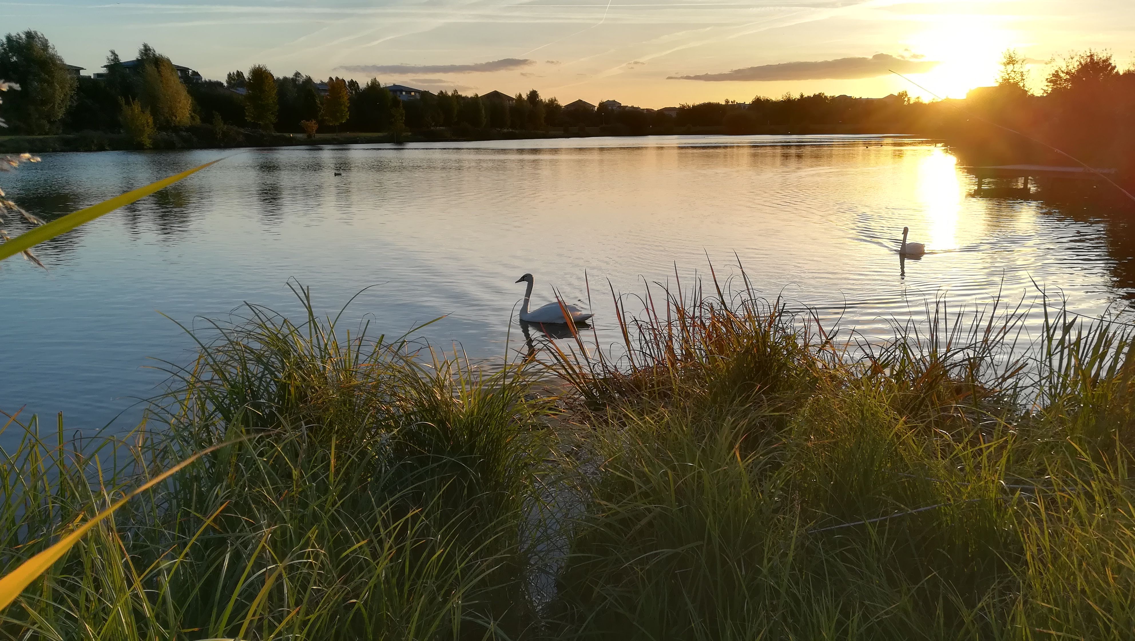 Photo n° 1 de l'avis de psman. fait le 23/09/2019 à 07:05