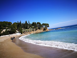 Photo de Platja de Grifeu et le règlement