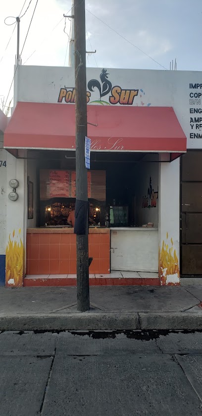 Pollos sur - Manuel Doblado 137, Centro, 38400 Valle de Santiago, Gto., Mexico