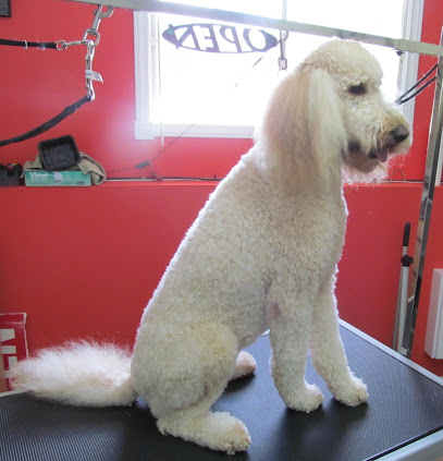 Jeanette's Dog Grooming