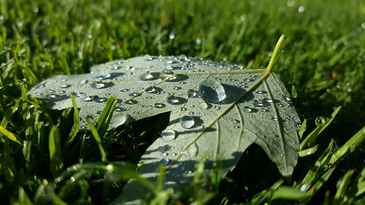 Golf Course «Forest Akers West Golf Course», reviews and photos, 3535 Forest Rd, Lansing, MI 48910, USA