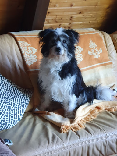 Kleintierpraxis Dr. Ehrenberg unter Limburg, Hessen