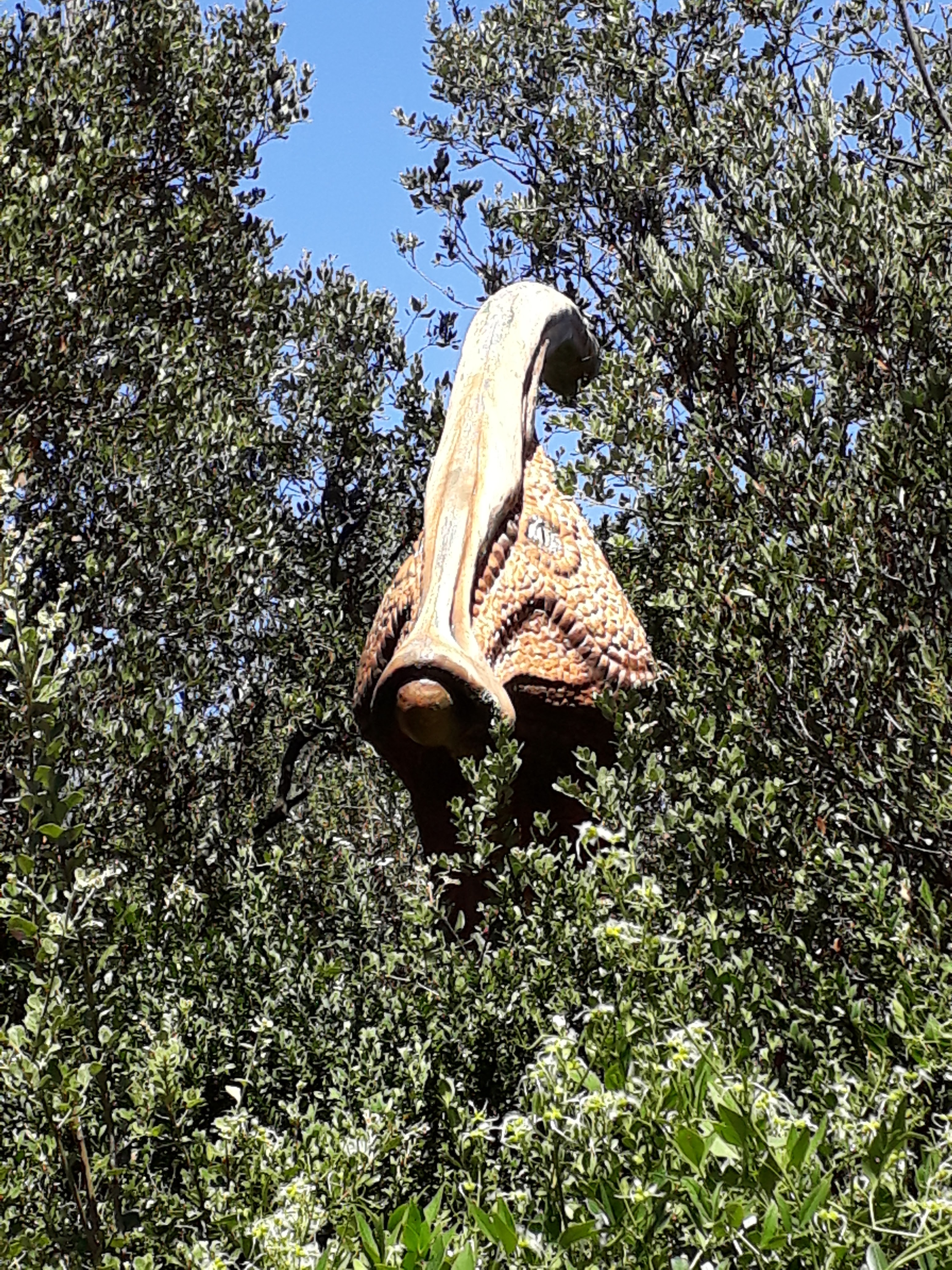 Photo n° 8 de l'avis de Jean-francois.o fait le 28/08/2018 à 14:16