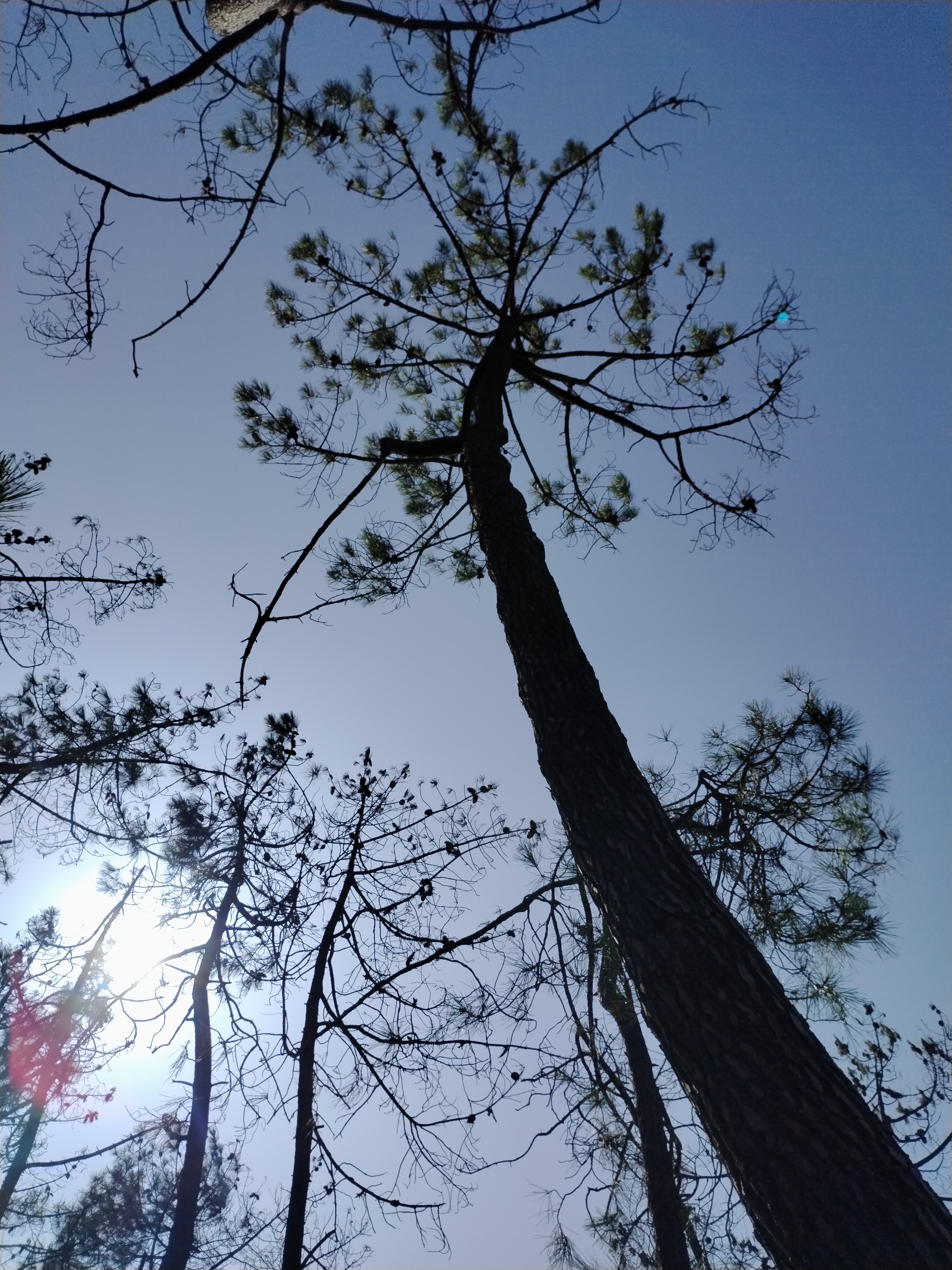 Photo n° 1 de l'avis de Vince.u fait le 29/07/2023 à 15:07