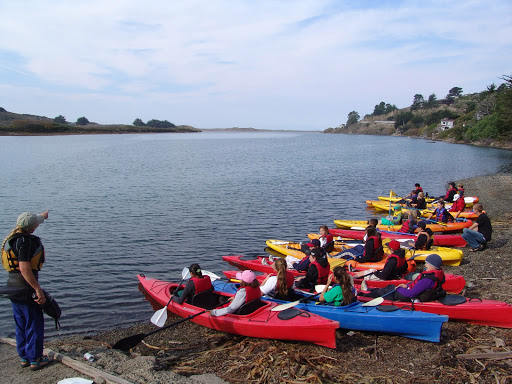 Canoe & Kayak Rental Service «Watertreks Eco-Tours Jenner Kayaks», reviews and photos, 10438 CA-1, Jenner, CA 95450, USA
