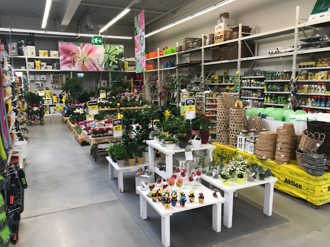 Rezensionen über JUMBO Hüntwangen Rhein Shopping in Schaffhausen - Baumarkt