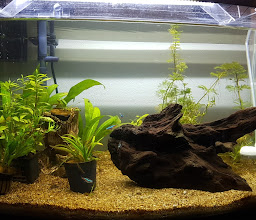 ACUAPONIX Norte photo