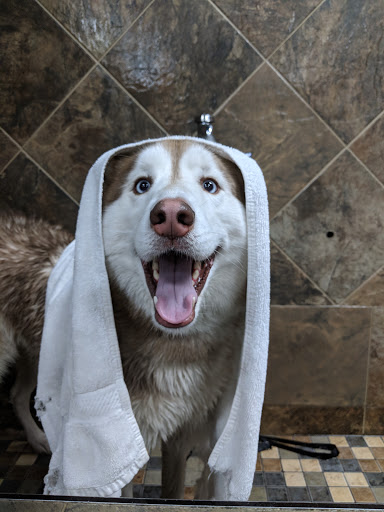 Pet Store «Pet Valu», reviews and photos, 115 Mill Plain Rd, Danbury, CT 06811, USA