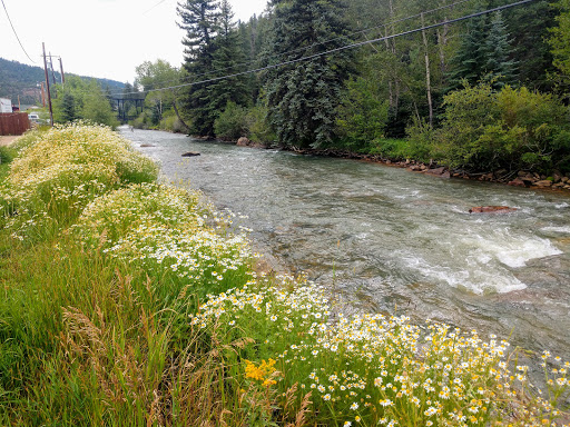 Winery «Aspen Peak Cellars», reviews and photos, 60750 US-285, Bailey, CO 80421, USA