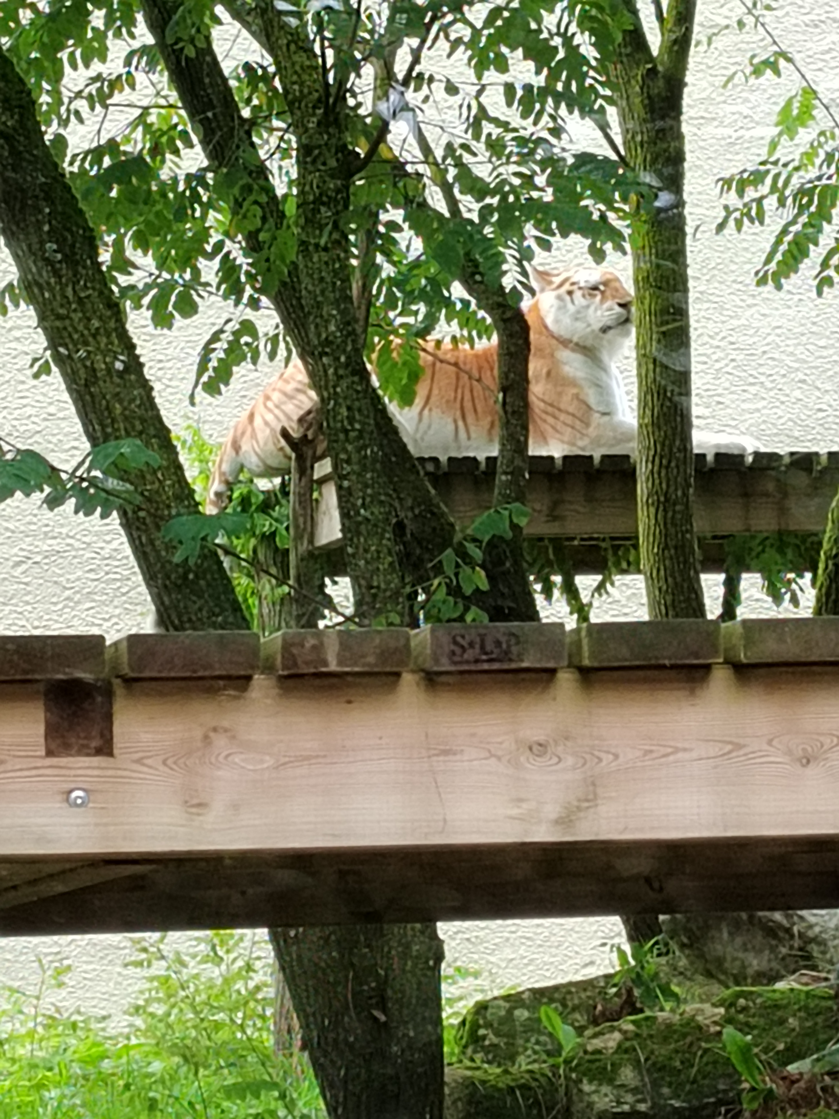 Photo n° 10 de l'avis de Véronique.a fait le 07/08/2023 à 07:18