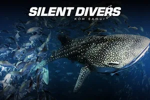 Silent Divers image