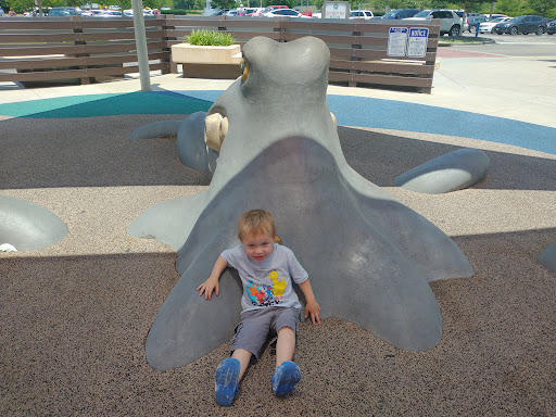 Outlet Mall «Tanger Outlet Myrtle Beach Hwy 17», reviews and photos, 10835 Kings Rd, Myrtle Beach, SC 29572, USA