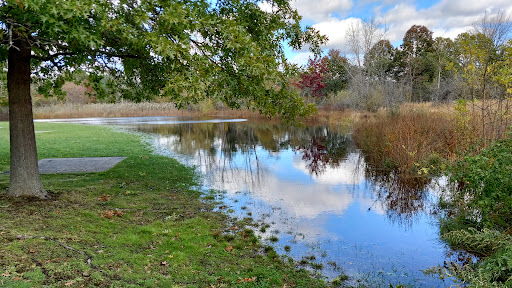 Park «Danehy Park», reviews and photos, 99 Sherman St, Cambridge, MA 02138, USA